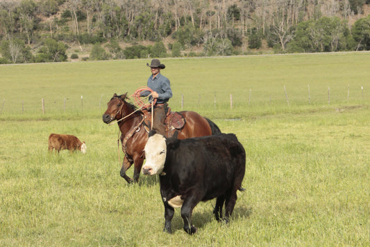 Bulk Beef Variety Box - Steaks, Roasts, Ground